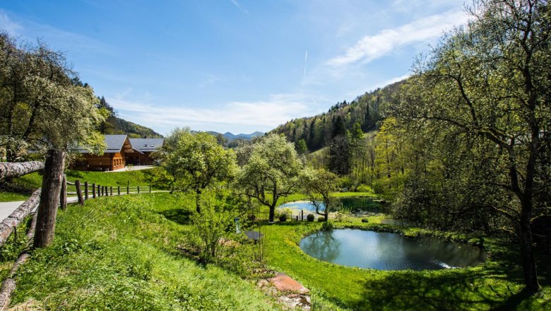 Teiche, © www.lensflair.at Teiche, © www.lensflair.at