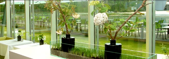 Innenansicht, © Josef Pichler Innenansicht eines modernen Cafés mit großen Fenstern und Pflanzen.