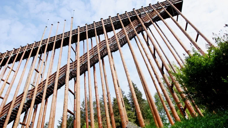 Hochmoor Schrems, © WeinFranz Hochmoor Schrems, © WeinFranz