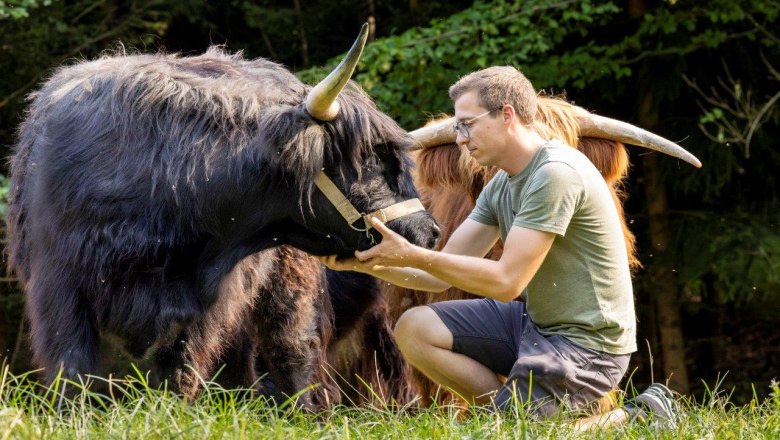 Craftbeef von Brandstatten, © Theo Kust Craftbeef von Brandstatten, © Theo Kust