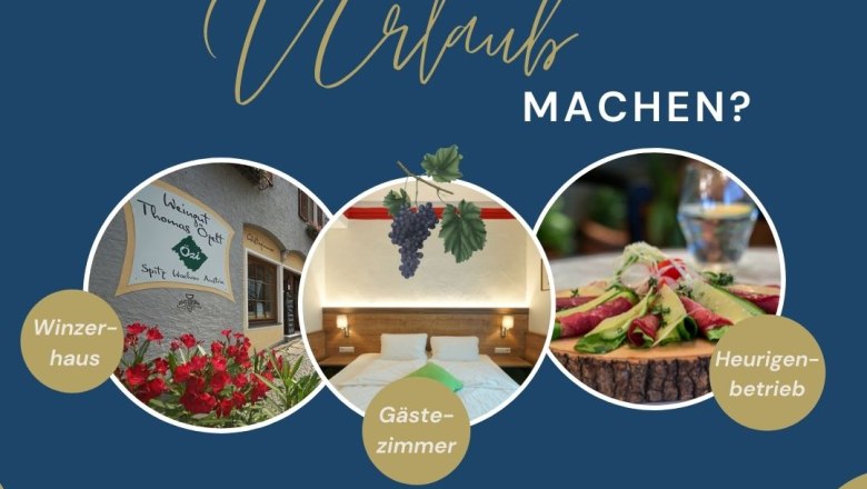 Wachau Urlaub, © Özelt Werbung für Urlaub in der Wachau mit Bildern von Winzerhaus, Gästezimmer und Heurigenbetrieb.