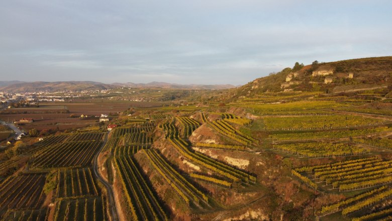 Die Riede Rohrendorfer Gebling, © Weingut Mittelbach Luftaufnahme von Weinbergen in Rohrendorf, Österreich, bei Sonnenuntergang.