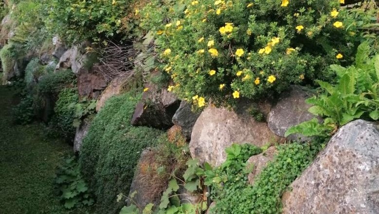 Wurfsteinmauer, © Tina Perina Steinmauer mit gelben Blumen und grünen Pflanzen
