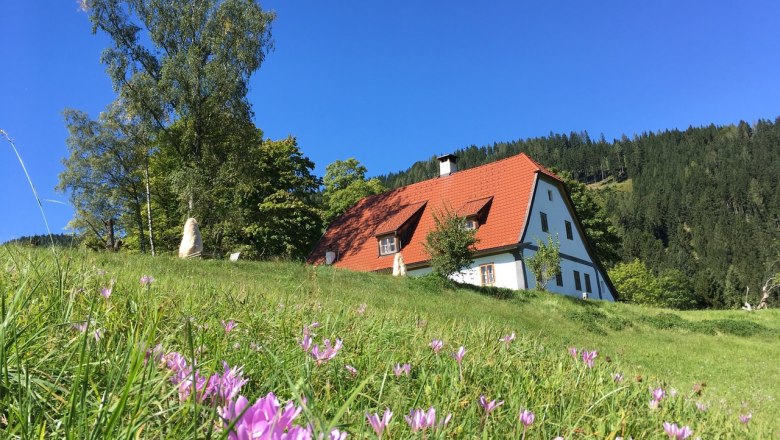 Ferienhaus Hinterbreiteneben, © Johannes Hoyos Ferienhaus Hinterbreiteneben, © Johannes Hoyos