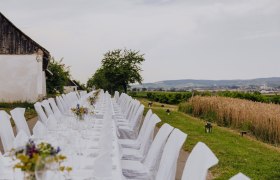 Tafeln im Weinviertel, © Weinviertel Tourismus GmbH / Creating Click Langer, festlich gedeckter Tisch im Freien neben einem Feld.