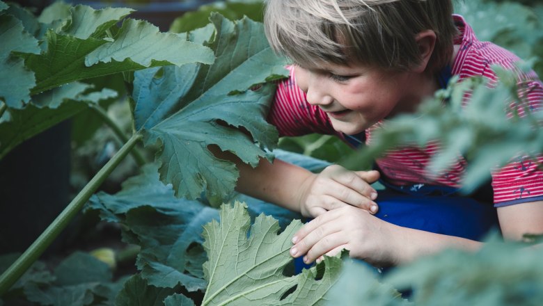 Bauerngarten, © Monika Pölzer Ein Kind in einem Bauerngarten, umgeben von großen grünen Blättern, lächelt und schaut neugierig auf die Pflanzen.
