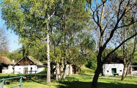 Kellergasse Loamgstettn, © Weinstraße Weinviertel West Kellergasse Loamgstettn, © Weinstraße Weinviertel West