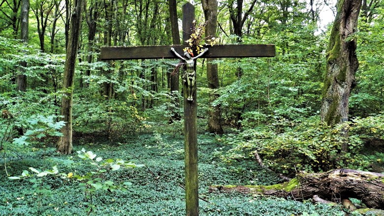 Hörstation 7 Linden, VIA.CARNUNTUM., © Donau Niederösterreich Hörstation 7 Linden, VIA.CARNUNTUM., © Donau Niederösterreich