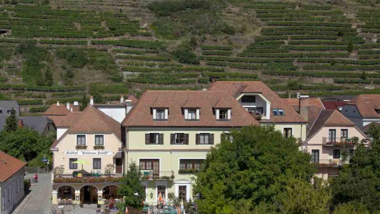Aussenansicht, © Reiböck Außenansicht eines Gasthauses mit Terrasse und Weinbergen im Hintergrund.