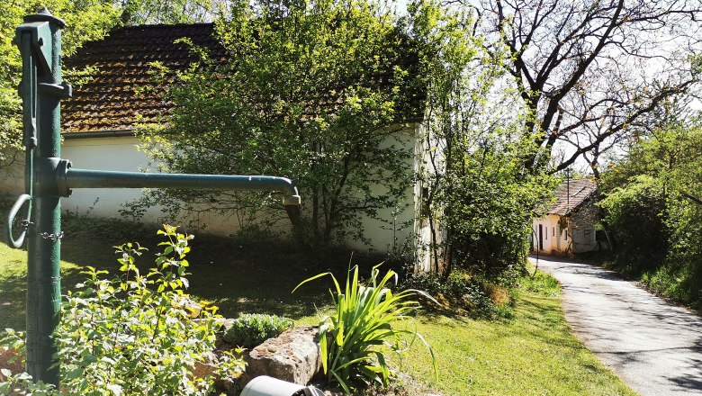 Kellergasse Zeiselberg in Immendorf, © Weinstraße Weinviertel Ländliche Szene mit Wasserpumpe, Pflanzen und Weg.