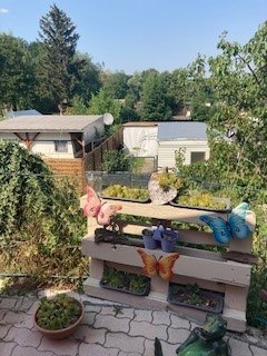 seecamping-schmetterlinge, © Wienerwald Tourismus seecamping-schmetterlinge, © Wienerwald Tourismus