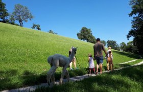 Spazieren entlang von Obstbäumen, © Stefanie Ecker Spazieren entlang von Obstbäumen, © Stefanie Ecker