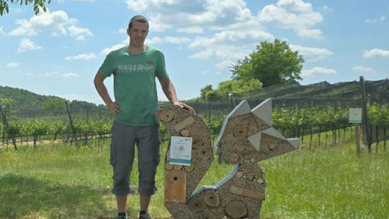 Weinbau Manuel Fuchs, © Manuel Fuchs Weinbau Manuel Fuchs, © Manuel Fuchs