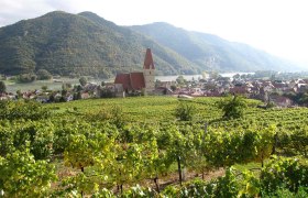 Ortsansicht Weißenkirchen, © Jutta Mucha-Zachar Blick auf Weißenkirchen in der Wachau mit Weinbergen und Kirche im Vordergrund.