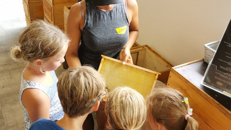 img_20210716_205833_540, © Imkerei Stögerer, Fotograf Gerhard Kapeller Eine Frau zeigt Kindern eine Bienenwabe in einem Imkerladen.