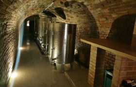 Keller, © Weinbau Hofmann Kellerröhre mit Tanks