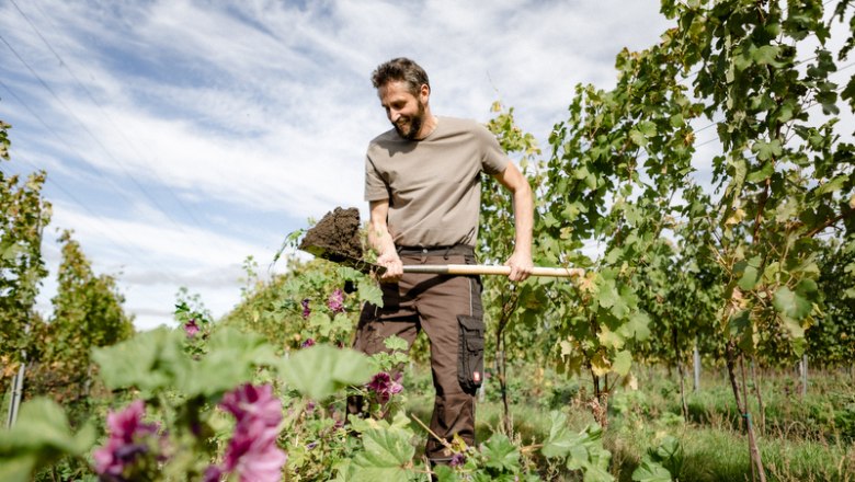 Martin Machalek bei der Arbeit im Weingarten, © Astrid Bartl Mann arbeitet mit einer Schaufel im Weingarten.
