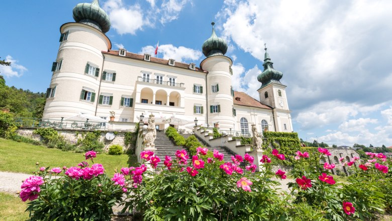 Südseite mit Schloss-Cafe-Terrasse mit Pfingstrosen, © Schloss Artstetten Schloss mit Türmen und Pfingstrosen im Vordergrund, blauer Himmel mit Wolken.