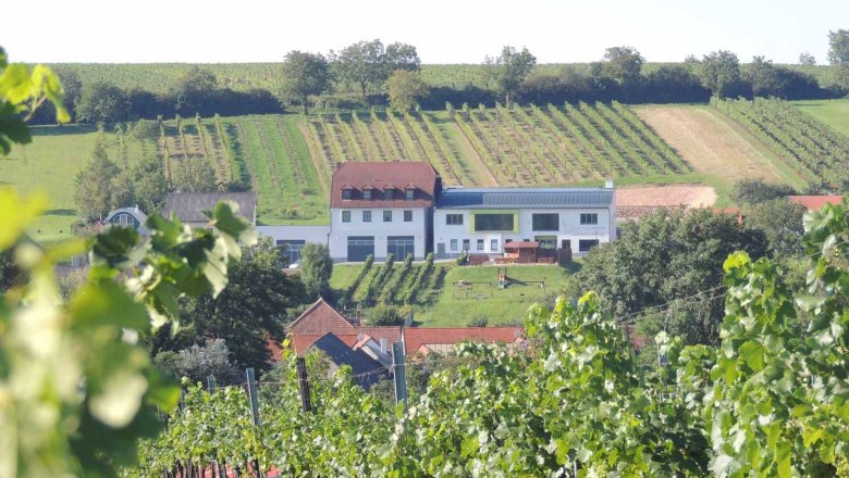 Heurigenlokal, © Fam. Dworzak Weingut mit Heurigenlokal inmitten von Weinbergen.