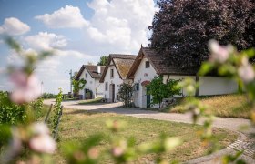 Kellergasse Höflein, © Donau Niederösterreich - Tourismusbüro Carnuntum-Marchfeld Kellergasse Höflein, © Donau Niederösterreich - Tourismusbüro Carnuntum-Marchfeld