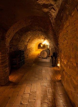 Weinbau Polsterer, © Michael Kornberger Weinbau Polsterer, © Michael Kornberger