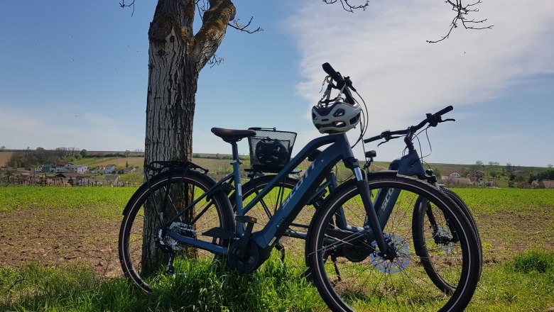 E-Bike Verleih, © weinstimmig Dworzak Zwei Fahrräder lehnen an einem Baum auf einem Feld mit Dorf im Hintergrund.