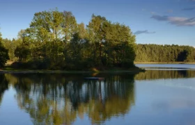 Hoheneicher Teich, © Matthias Schickhofer Ein ruhiger Teich mit Bäumen im Hintergrund, die sich im Wasser spiegeln.