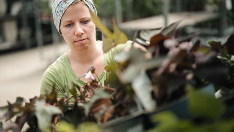 Starkl Erlebnisgarten, © Moststraße, dochbodnliacht Starkl Erlebnisgarten, © Moststraße, dochbodnliacht
