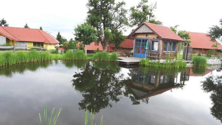 gestehof-hochetlinger_naturbiotop, © Familie Hochetlinger gestehof-hochetlinger_naturbiotop, © Familie Hochetlinger