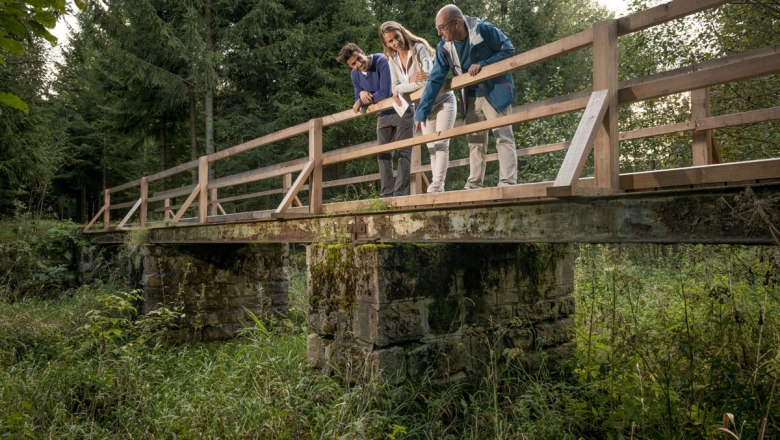 Alte Bahnbrücke, © Waldviertel Tourismus, Studio Kerschbaum Drei Personen stehen auf einer alten Bahnbrücke im Wald und schauen hinunter.