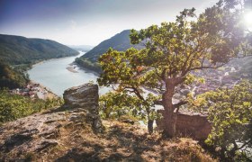 Aussichtsplatz am Luftberg in Aggsbach Dorf, © Donau NÖ Tourismus/Daniela Matejschek Aussichtsplatz am Luftberg in Aggsbach Dorf, © Donau NÖ Tourismus/Daniela Matejschek