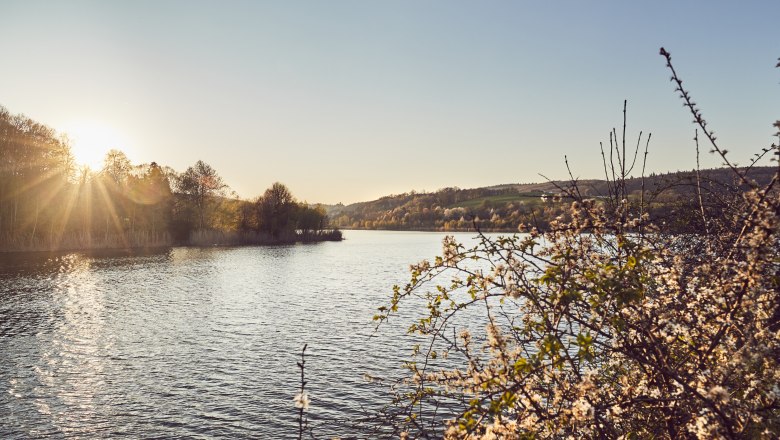 Wienerwaldsee, © Wienerwald Tourismus/Andreas Hofer Wienerwaldsee, © Wienerwald Tourismus/Andreas Hofer