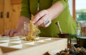 Kräuterkraftwerk, © Florian Lierzer Kräuterkraftwerk, © Florian Lierzer