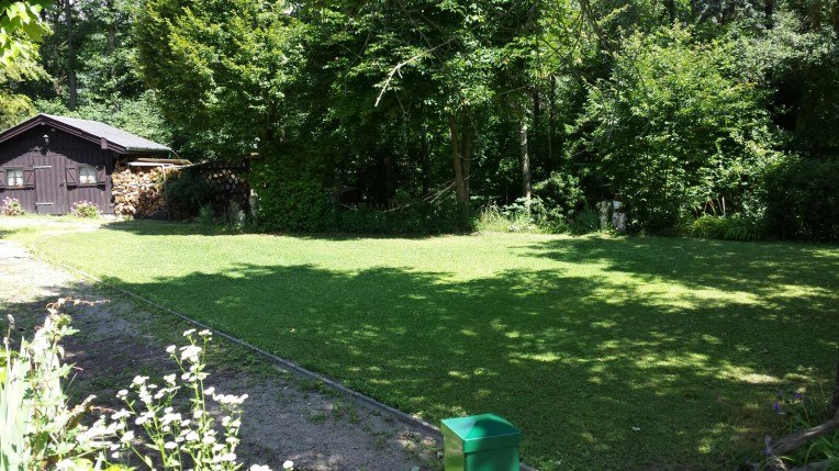 Campingplatz, © Waldcamping Hubertus Grüne Wiese mit Bäumen und einer Holzhütte im Hintergrund.