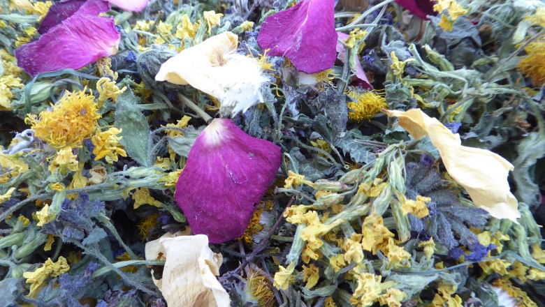 zulehen_tee, © Zulehen zulehen_tee, © Zulehen