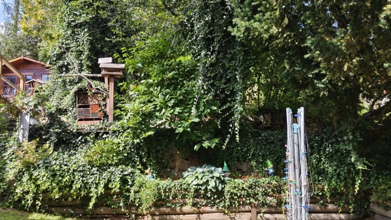 Vorgarten, © Nina's Ferienwohnung Vorgarten, © Nina's Ferienwohnung