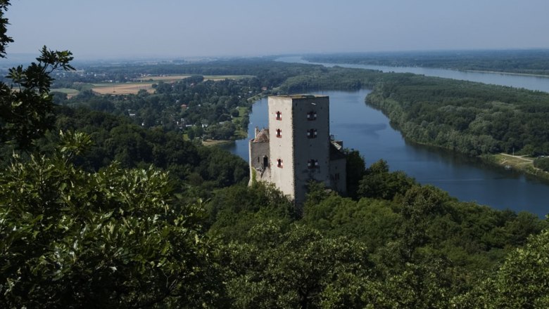 Burg Greifenstein, © Donau Niederösterreich Burg Greifenstein mit Fluss und Wald im Hintergrund.