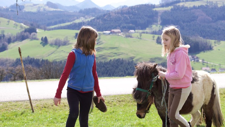 Kinder mit Pony, © Panstingl Kinder mit Pony, © Panstingl