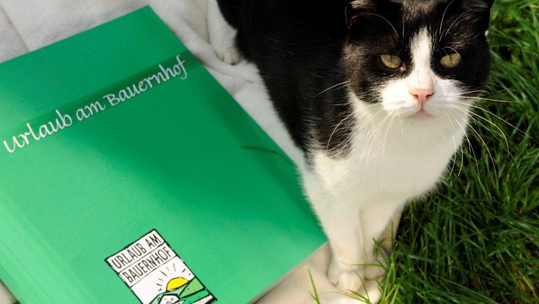 Auszeichnung Urlaub am Bauernhof, © Fam. Rethaller Eine schwarz-weiße Katze sitzt neben einem grünen Ordner mit der Aufschrift 'Urlaub am Bauernhof'.