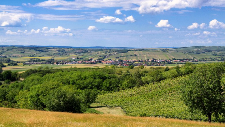 Weinberge, © Gemeinde Alberndorf Weinberge und Landschaft unter blauem Himmel mit Wolken.