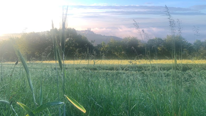 Maria Taferl von der Ferne, © Sabine und Roman Kerschbaumer Maria Taferl von der Ferne, © Sabine und Roman Kerschbaumer