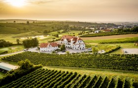 Restaurant & Hotel Neustifter, © Robert Herbst Luftaufnahme eines Hotels inmitten von Weinbergen bei Sonnenuntergang.