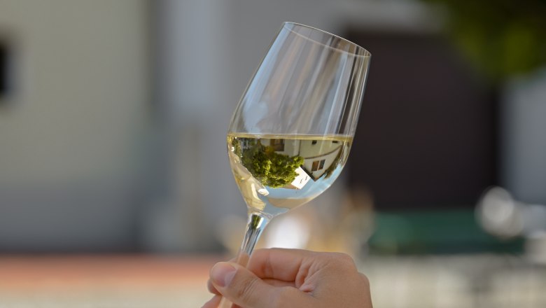 Weinglas, © Weinviertel Tourismus / Lisa Sedlatschek Eine Hand hält ein Weinglas mit Weißwein im Freien, unscharfer Hintergrund mit Bäumen und Gebäuden.