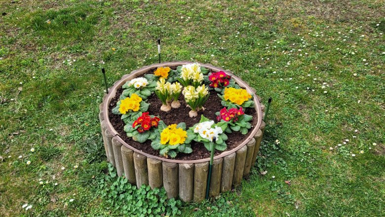 Blumeninsel, © (c) Barbara Doninger Blumeninsel, © (c) Barbara Doninger