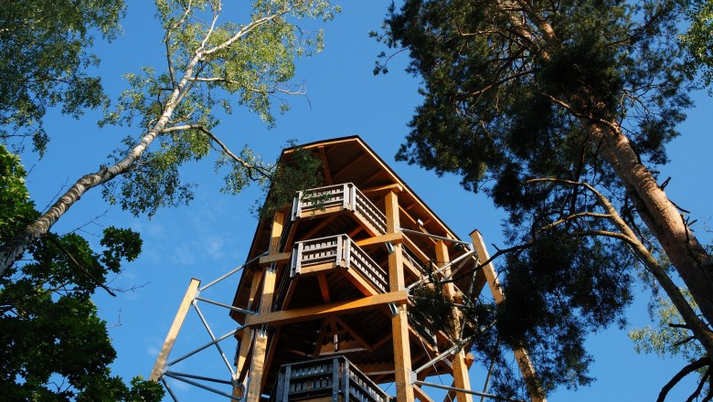 Aussichtsturm Blockheide Gmünd, © Waldviertel Tourismus, Reinhard Mandl Holzaussichtsturm in einem Wald, umgeben von hohen Bäumen, unter blauem Himmel.