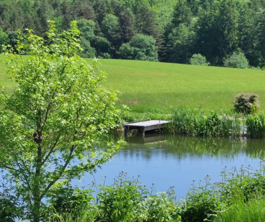 Cottage am Gföhlerwald, © Elisabeth Veen Cottage am Gföhlerwald, © Elisabeth Veen
