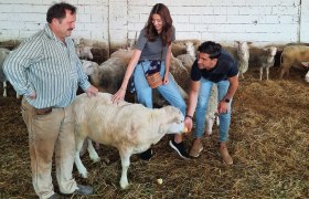 Stallbesichtigung Schafkäsebetrieb Raser, Pachfurth, © Donau Niederösterreich, Neubauer Stallbesichtigung Schafkäsebetrieb Raser, Pachfurth, © Donau Niederösterreich, Neubauer