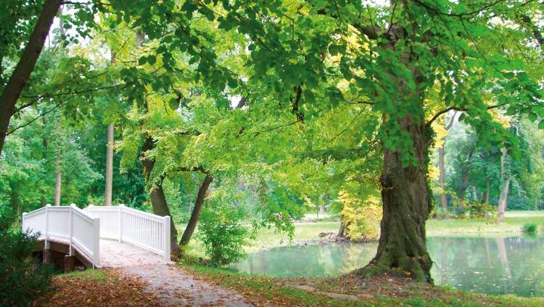 Harrachpark, © Markus Einramhof Harrachpark, © Markus Einramhof