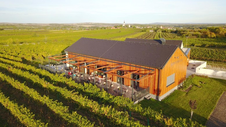 Weinterrasse Pulkau, © Weinterrasse Pulkau Weinterrasse Pulkau, © Weinterrasse Pulkau