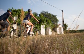 Per Rad die Weinviertler Kellergassen erkunden, © Retzer Land / Astrid Bartl Per Rad die Weinviertler Kellergassen erkunden, © Retzer Land / Astrid Bartl